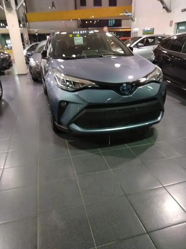 Centro Assistenza Autorizzato Toyota Clementi