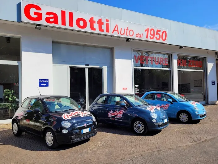 Gallotti Auto 1950, Varese