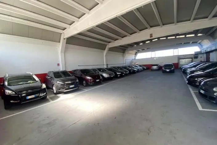 AUTO JOLLY