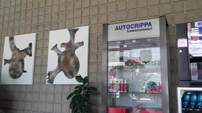 Autocrippa S.r.l.