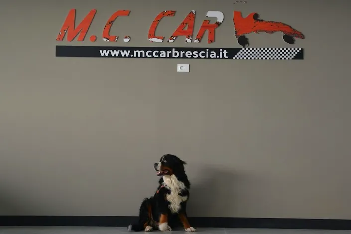 MC Car di Massimiliano Cavotta – Concessionario Auto Brescia
